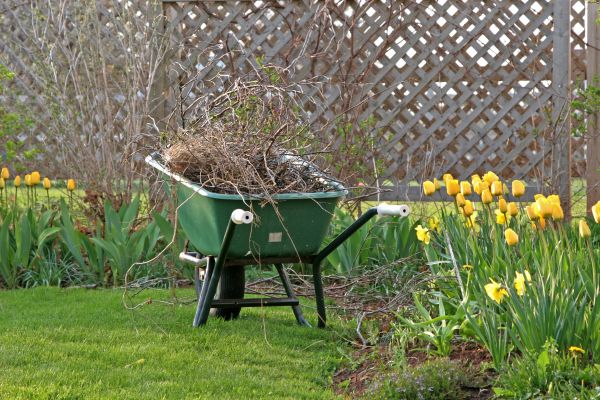 Flower Bed Cleanup Service in Noblesville