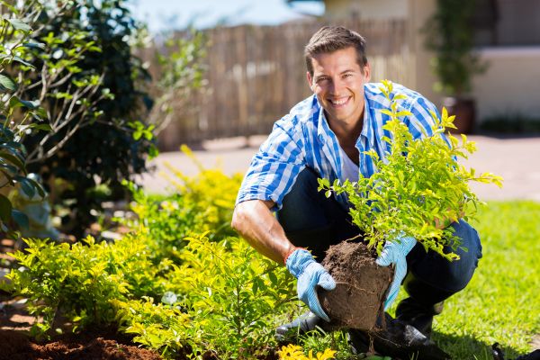 Bush Planting Service in Noblesville