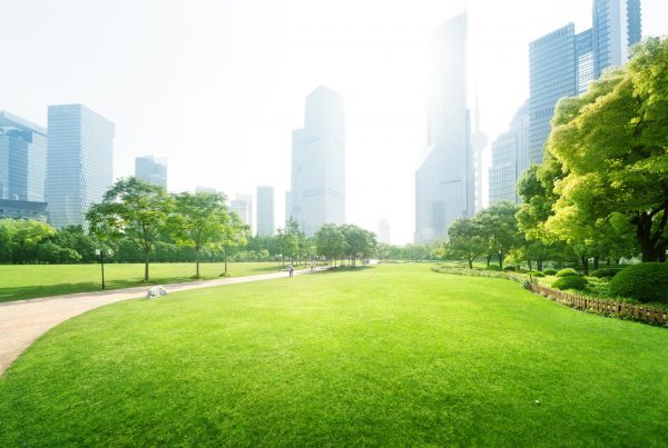 Commercial Landscape Maintenance in Noblesville