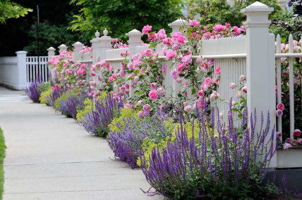 Garden Handyman Service in Noblesville