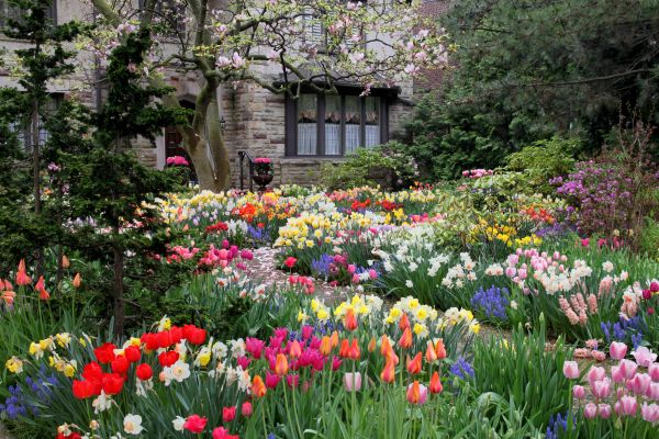 Garden Maintenance Service in Noblesville