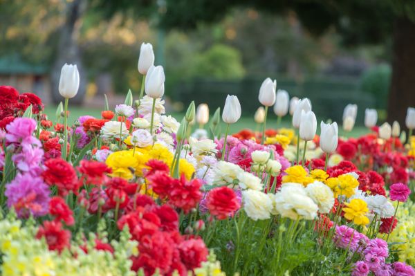 Gardening Service in Noblesville