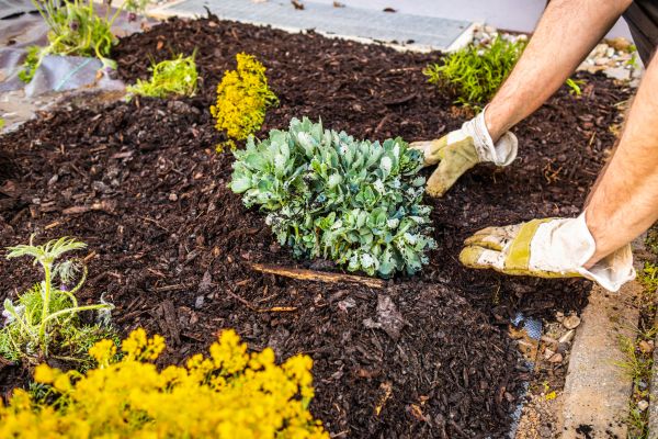 Weeding And Mulching in Noblesville