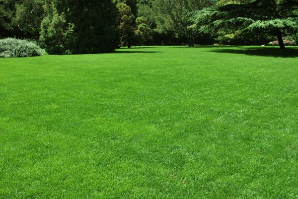 Lawn Landscaping in Noblesville