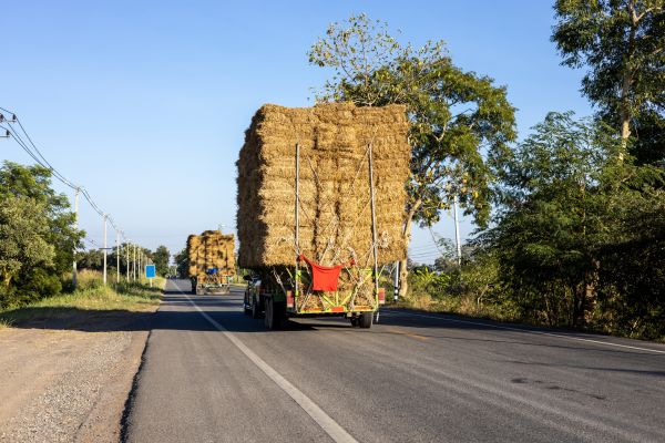 Pine Straw Delivery in Noblesville