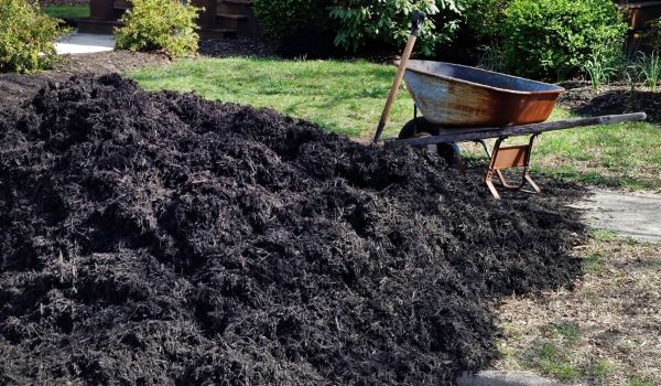 Black Mulch Delivery in Noblesville