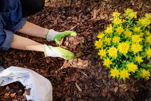 Garden Mulching in Noblesville