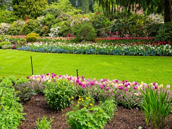Residential Landscape Design in Noblesville