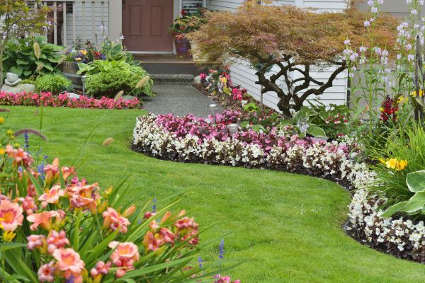 Perennial Landscaping in Noblesville