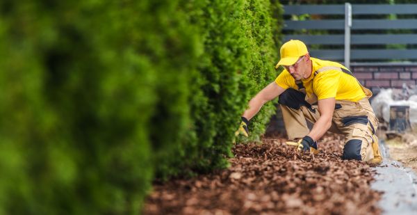Cypress Mulch Installation in Noblesville