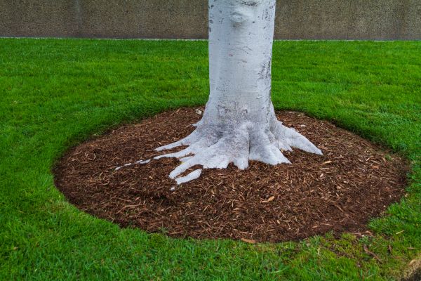 Brown Mulch Installation in Noblesville
