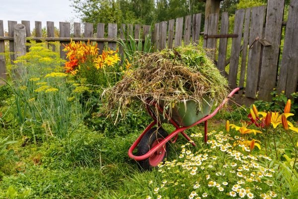 Garden Cleanup Service in Noblesville