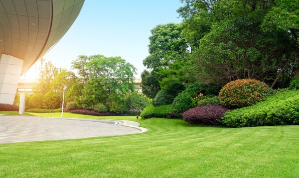 Business Landscape Design in Noblesville