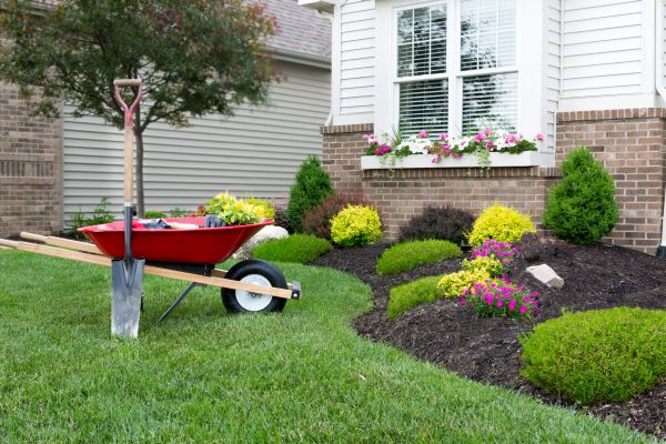 Tree And Shrub Planting in Noblesville