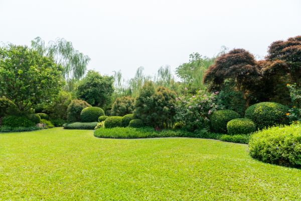 Tree Landscaping in Noblesville