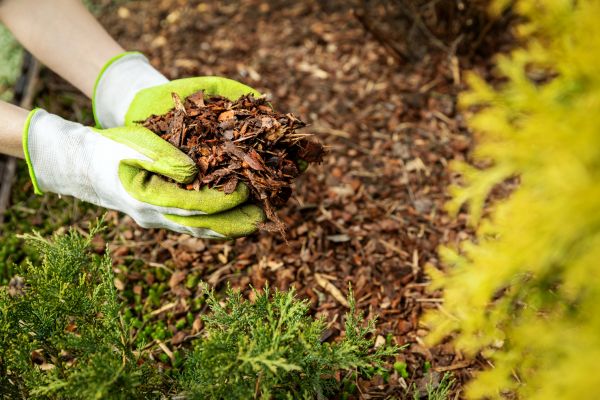 Garden Mulch Delivery in Noblesville