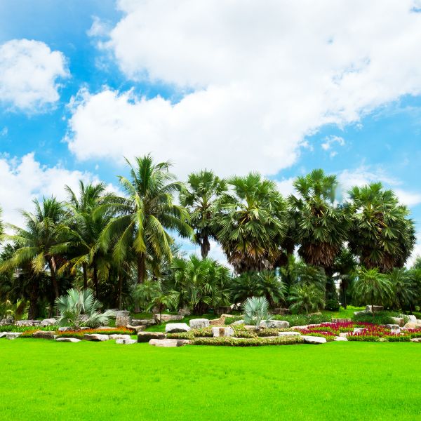 Tropical Landscaping in Noblesville