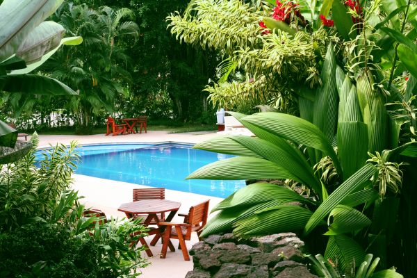 Tropical Garden Landscaping in Noblesville