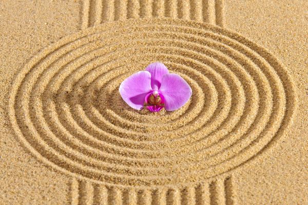 Sand Garden Landscaping in Noblesville