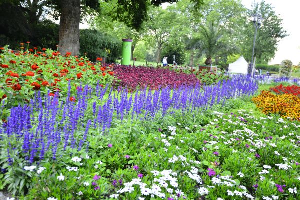 Perennials Planting in Noblesville