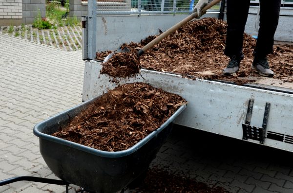 Cypress Mulch Delivery in Noblesville