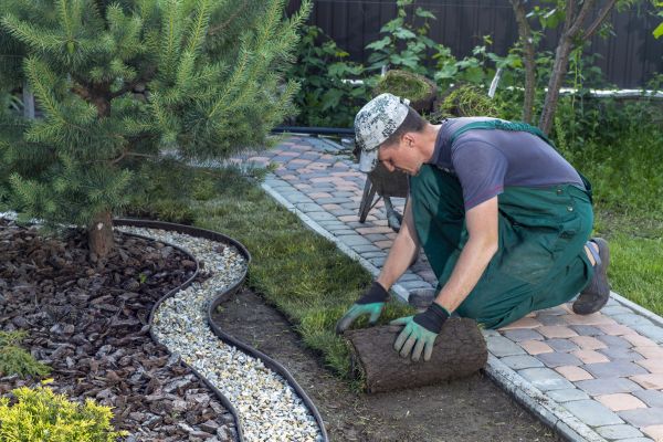 Landscaping Modification in Noblesville