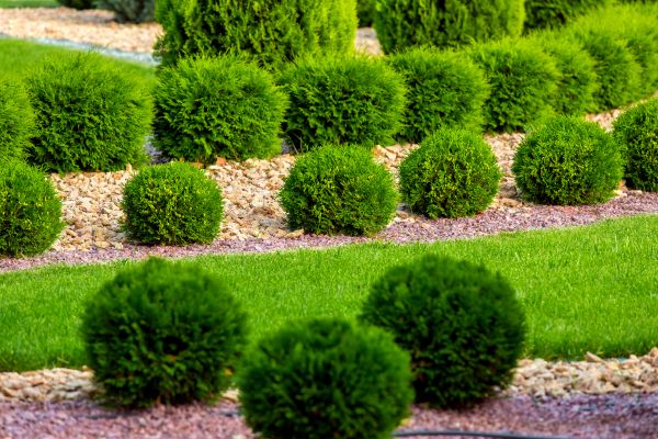 Bush Installation in Noblesville