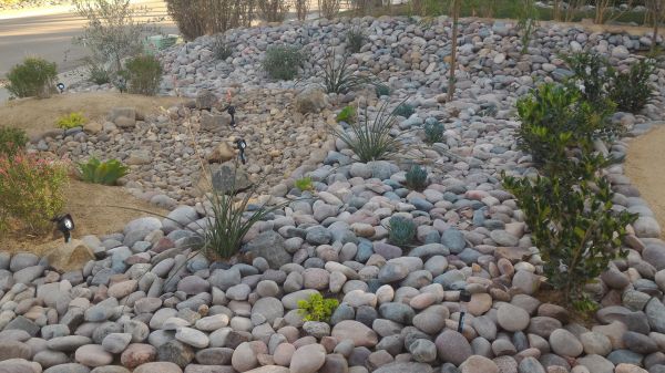 Yard Xeriscaping in Noblesville