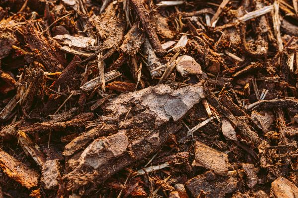 Bark Mulch Delivery in Noblesville