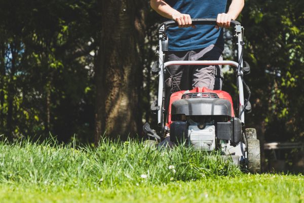 Garden Trimming Service in Noblesville