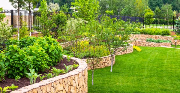 Yard Makeover Service in Noblesville