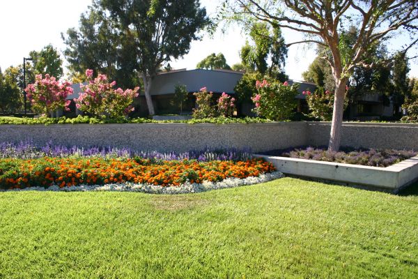 Commercial Landscape Service in Noblesville