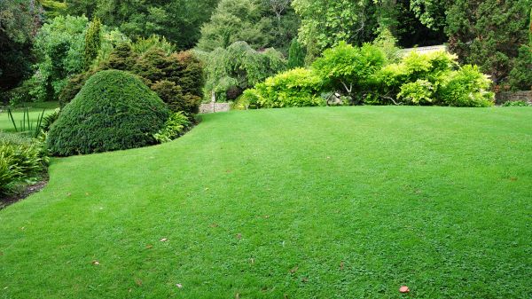 Commercial Landscape Design in Noblesville