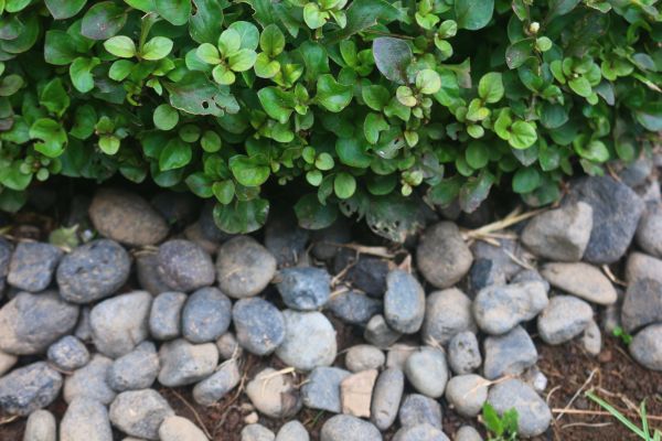 River Stone Installation in Noblesville