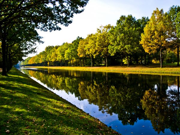 Bank Landscaping in Noblesville
