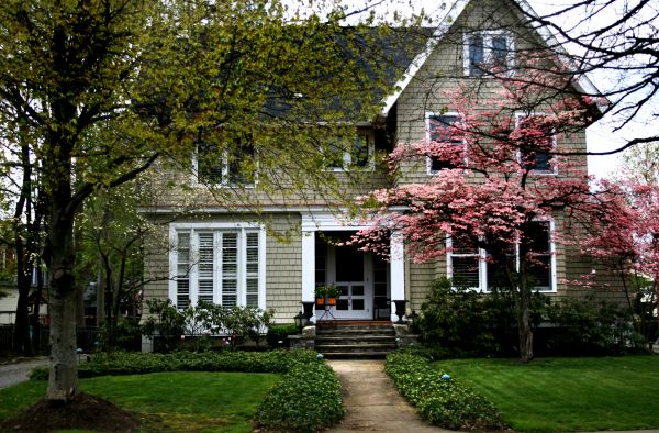 Ornamental Tree Planting in Noblesville