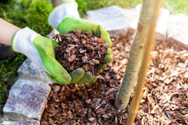Tree Bark Delivery in Noblesville