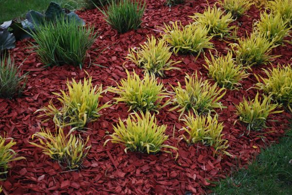 Red Mulch Installation in Noblesville