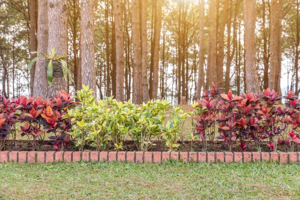 Small Garden Landscaping in Noblesville