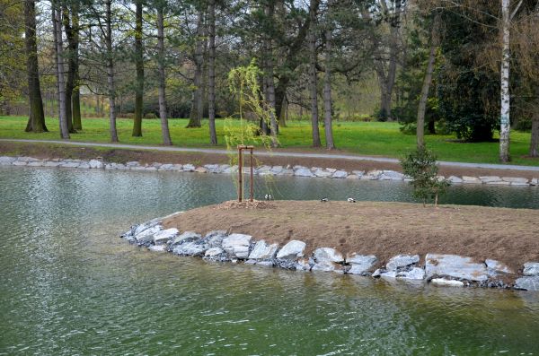 Pond Landscaping Service in Noblesville