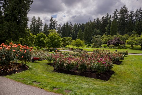 Flower Garden Landscaping in Noblesville