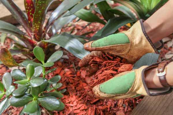 Residential Mulching in Noblesville