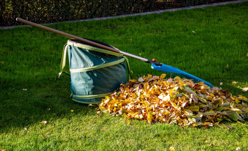 Leaf Disposal Techniques