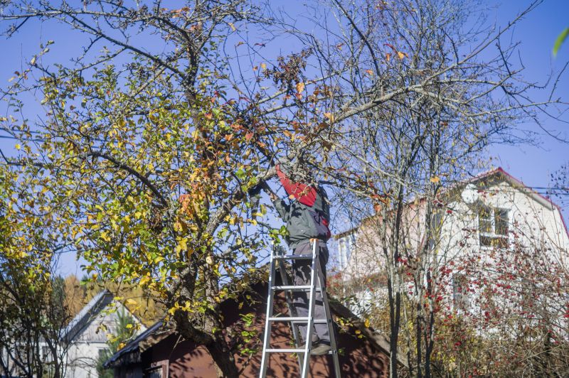 Arborist Tree Service detail