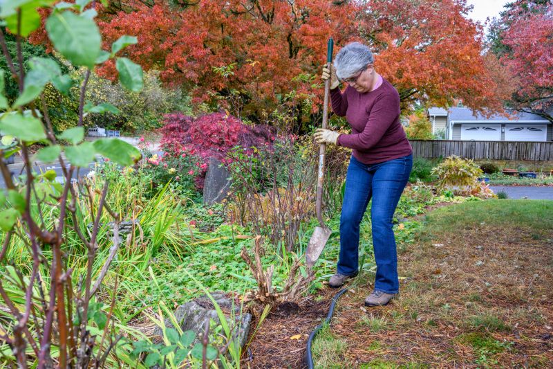 Fall Preparation for Landscaping